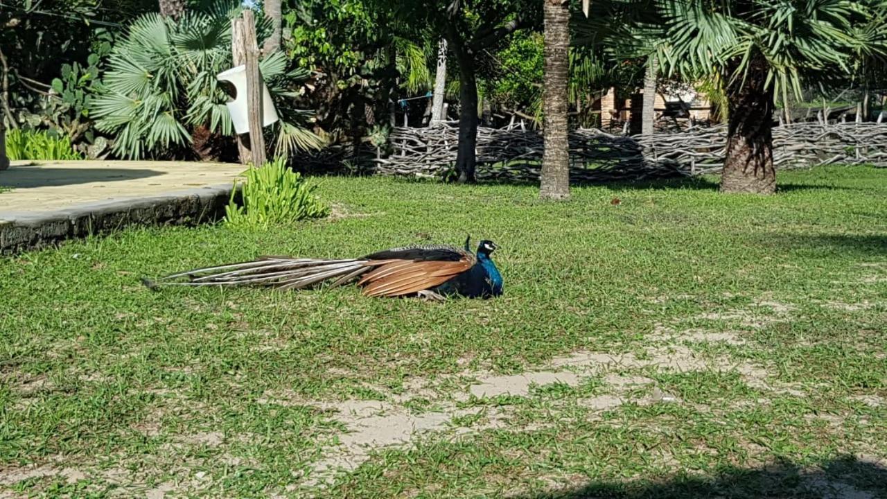 Rancho Do Buna Barreirinhas Dış mekan fotoğraf